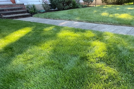 5 Reasons Professional Lawn Renovation Improves Residential and Commercial Properties Thumbnail