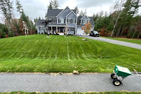 Lawn Fertilization & Weed Control Programs: What Actually Keeps a Lawn Healthy Thumbnail