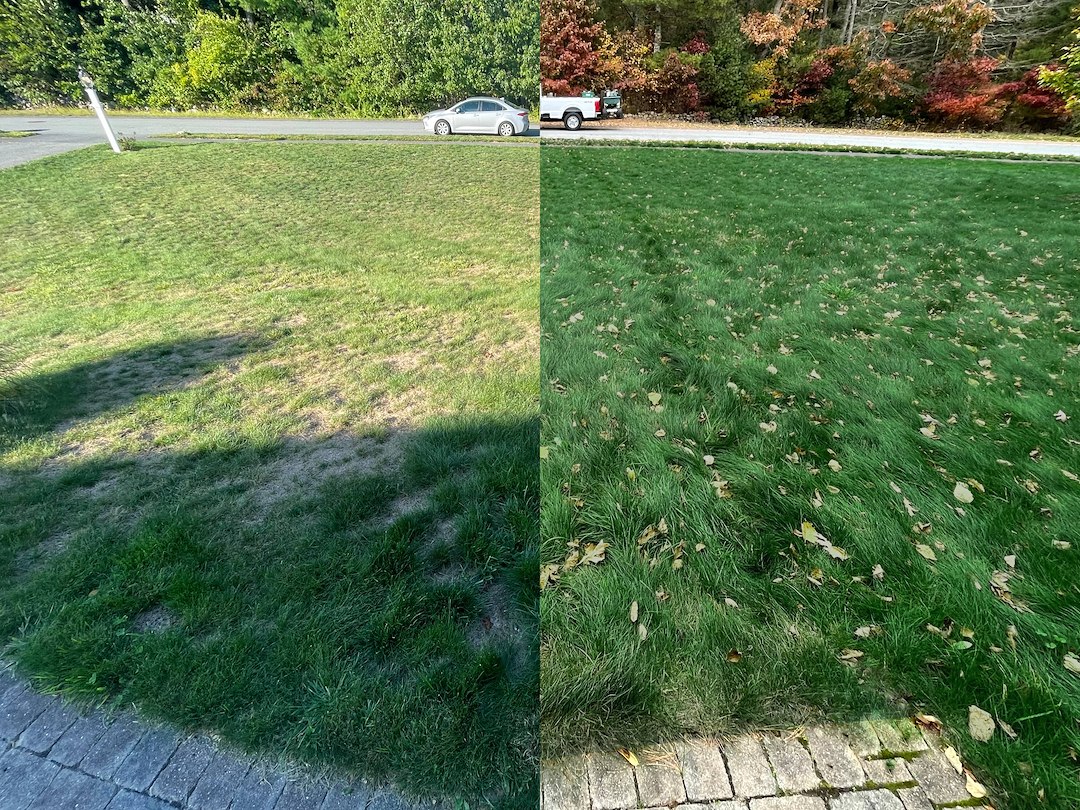 Lawn Aeration & Slice Seeding in Middleborough, MA Thumbnail