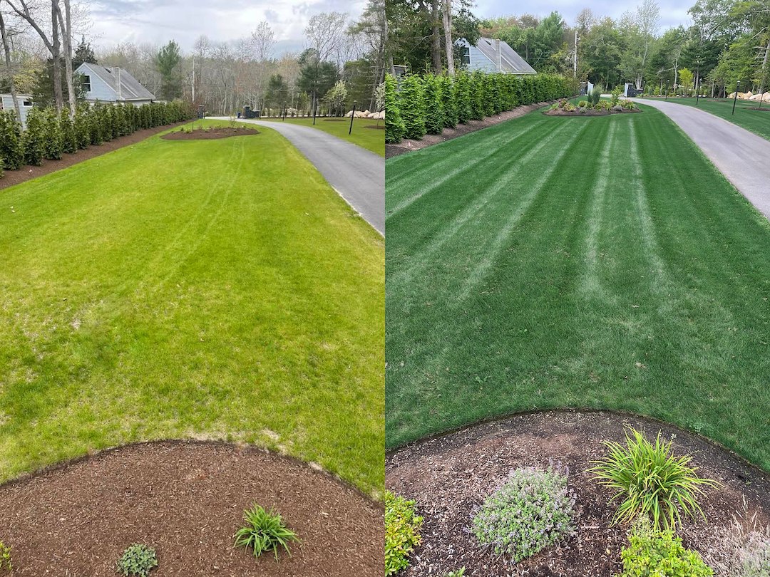 Lawn Fertilizer Striping Correction in Mattapoisett, MA Thumbnail