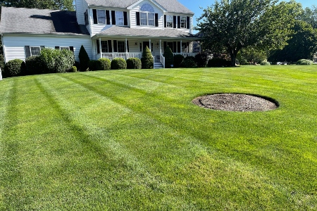 Lawn aeration middleborough